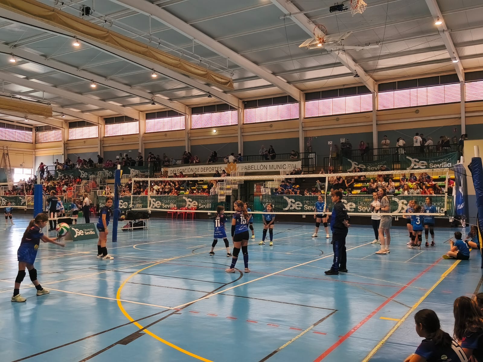05-150526 TORNEO DÍA PROVINCIA VOLEIBOL JUEGO