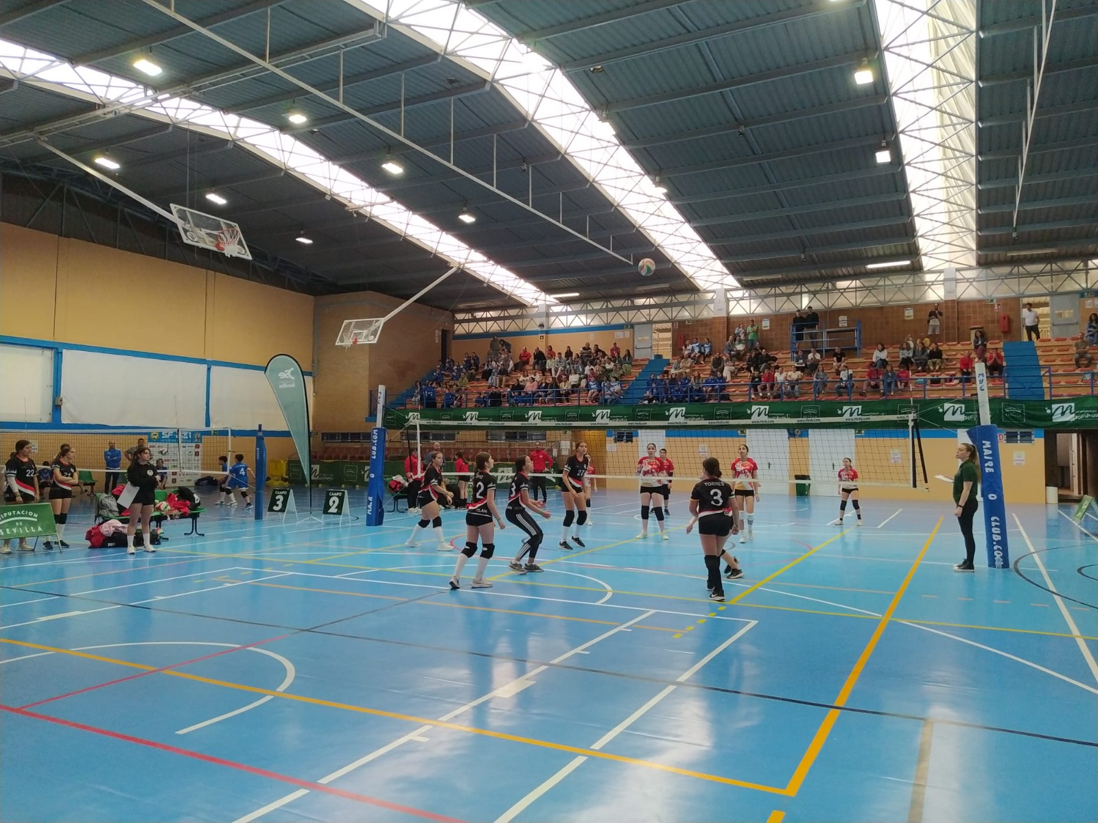 05-150526 TORNEO DÍA PROVINCIA VOLEIBOL PREVIA RECURSO