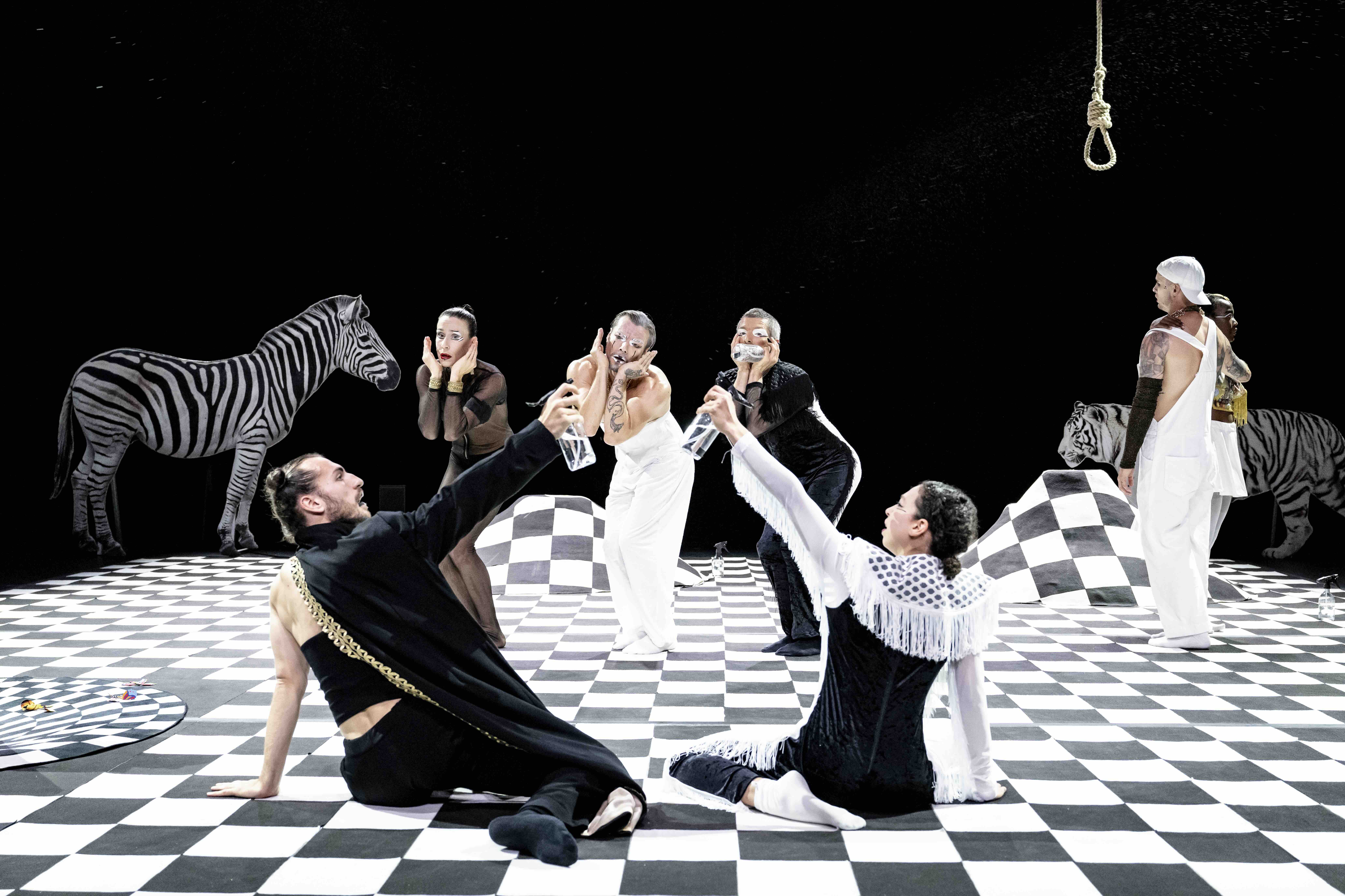 06-180625 ITÁLICA Sovaco de Cobra Foto Thor Brødreskift_11