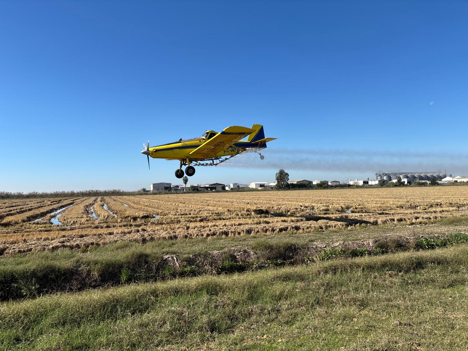 11-101125 foto TERCERA FASE TRATAMIENTOS AÉREOS ARROZALES