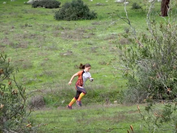 03-310325 ORIENTACIÓN EL PEDROSO CORREDORA DEHESA