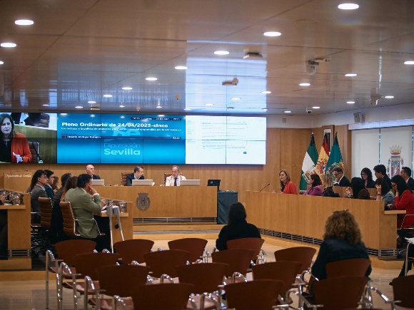 04-240425 PLENO ORDINARIO 1