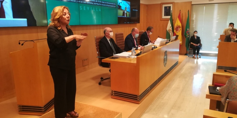 El Pleno de la Diputación aprueba el Plan Actúa con 100 M€ para la recuperación económica y social de la provincia