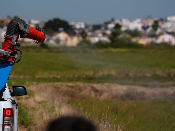 06-040525 foto TRATAMIENTO VNO PLAN ROMERO