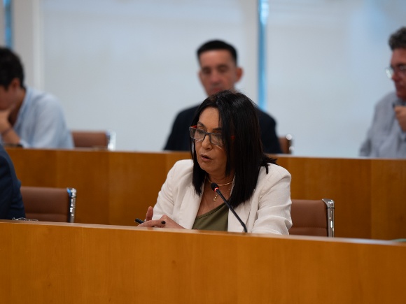 10- 011026 Diputación convocatorias fondos europeos