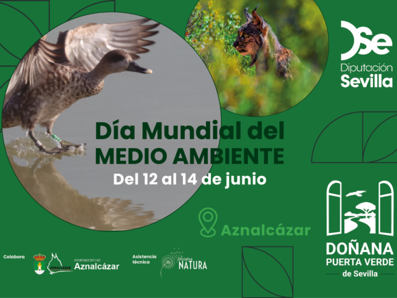 Banner 1_Dia Medio Ambiente Sevilla