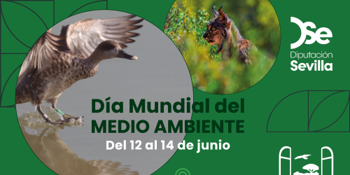Banner 1_Dia Medio Ambiente Sevilla