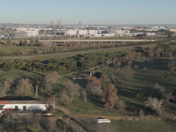 Imagen panorámica Quarto
