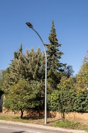 Actuaciones en la reurbanización en materia de alumbrado público de la calle moraima